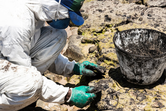 Cleaning Agents Extract Oil From Pedra Do Sal Beach In The City Of Salvador.