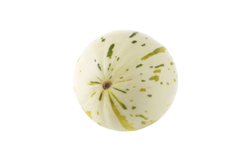 Ivory gaya melon with green and yellow dashed striations and flecks isolated transparent png. Colorful ripe fruit.