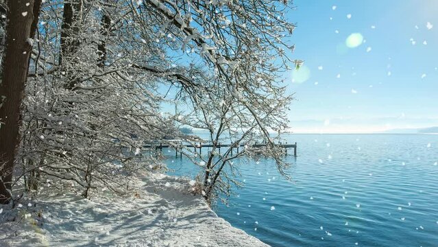 Cinemagraph of snowflakes in winter by a lake
