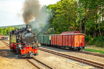 Fichtelbergbahn, Schmalspurbahn, Erzgebirge, Oberwiesenthal, Sachsen, Deutschland 
