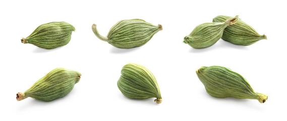 Set with dry cardamom pods on white background. Banner design