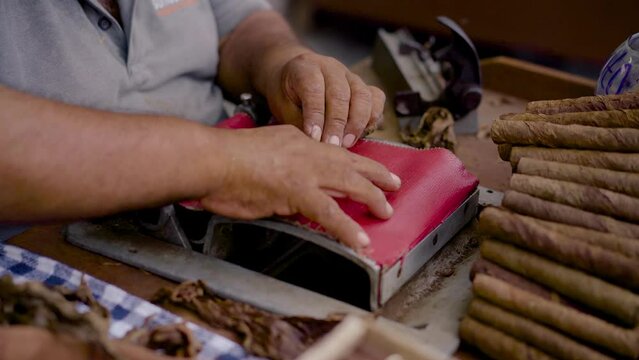 Habanos Puro Artesanal Fabricacion 