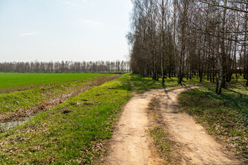 Fototapeta premium A dirt road runs along an agricultural field and forest. Beautiful autumn landscape in nature. Poor road quality for logistics and cargo transportation.