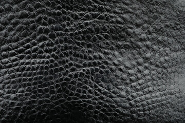 Texture of black leather as background, closeup