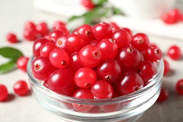 Fresh cranberry in bowl on light table, closeup
