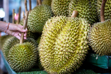 Durianes expuestos en mercado tradicional tailandes, en la ciudad de Bangkok