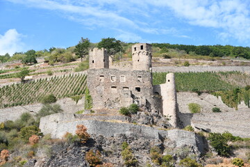 Fototapeta premium castle in the city