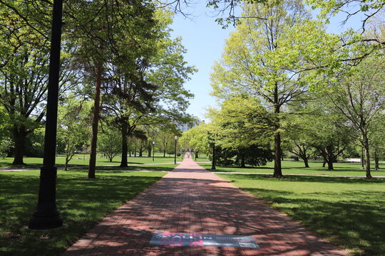 Ohio State University Campus Walkway 