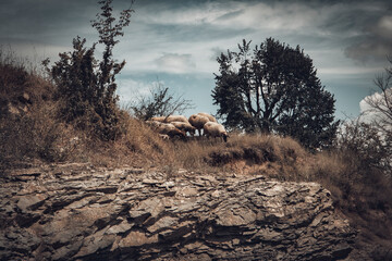 Drought in East Europe (When the Last Tree Is Cut Down, the Last Fish Eaten, and the Last Stream Poisoned, You Will Realize That You Cannot Eat Money)