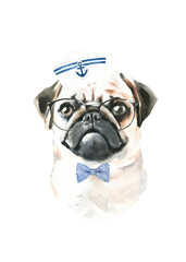 Watercolor Pug illustration, cute dog breed, funny character, cartoon dog in costume,clothes, accessories, hat, poster, card, invite, print,printable diy	
