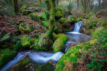 waterfall in the forest