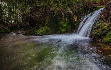 waterfall in the forest