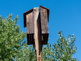 wooden bat house