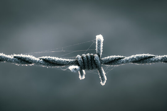 Stacheldraht im Winter
