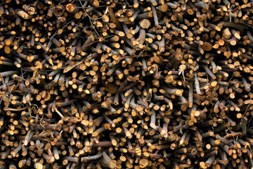 side view of a pile of stacked sticks forming a wall