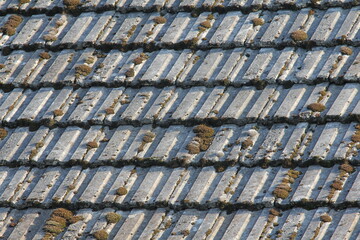 the roof is covered with tiles covered with dry moss on the north side