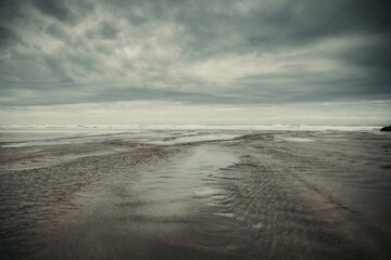 Te Henga - Bethells Beach - New Zealand