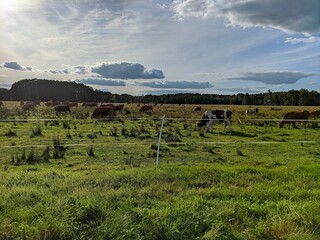 Wiejski krajobraz Sobibór 01 © Dawid