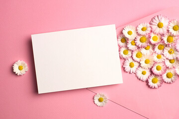 Invitation card mockup with envelope and white daisy flowers on pink