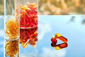 Fototapeta na wymiar Calendula oil in capsules. Oil extracted from marigold flowers, dry flower petals on orange blue background with reflection.