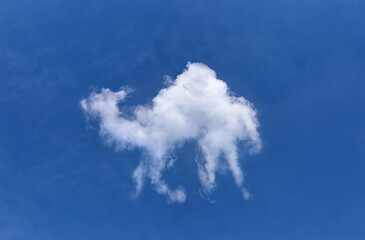 Cloud shaped like a camel in the sky