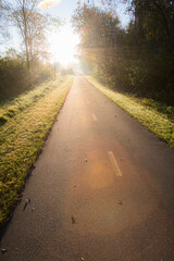 asphalt path into the sun