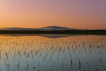 日本　栗駒山と夕焼けで水鏡の春の田園風景
