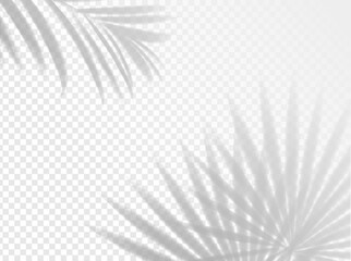 Palm leaves shadow background overlay. Vector light with realistic shades of summer tropical plant branches, blurred areca and fan palm tree foliage overlay effect on transparent background