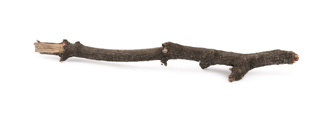 Obraz premium Old dry tree branch isolated on white
