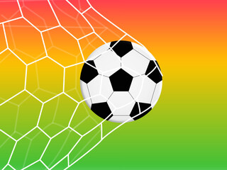 Soccer ball that entered the goal very quickly