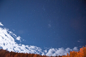 Stelle