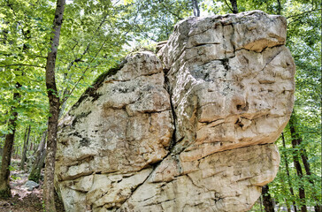 Big Boulder at Moss Rock Preserve in Hoover, Alabama, USA	