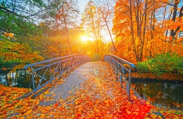 Autumn nature landscape. Lake bridge in fall forest. Path way in gold woods. Romantic view image scene. Magic misty sunset pond. Red color tree leaf park. Calm bright light, city sunrise, sunlight sun - obrazy, fototapety, plakaty