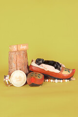 newborn puppy asleep in a Dutch wooden clog