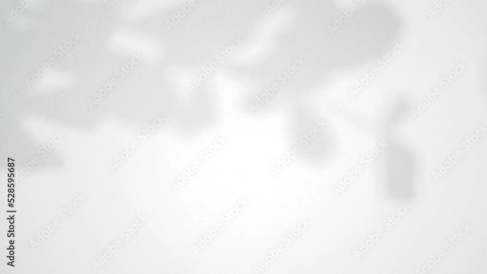Poster leaf shadow footage for background texture overlay. minimalist nature motion graphic in blur and sof
