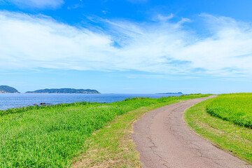 夏の波戸岬　佐賀県唐津市　Cape Hato in summer. Saga Prefecture Karatsu city.