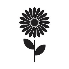 Daisy icon design. Daisy Camomile. Six chamomile silhouette shape icon line set. Cute round flower plant nature collection. Decoration element. Vector illustration