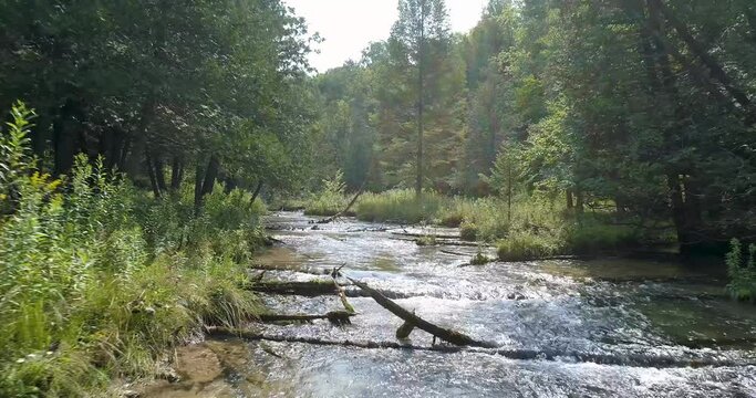 Peaceful river flowing through woodland forest. 