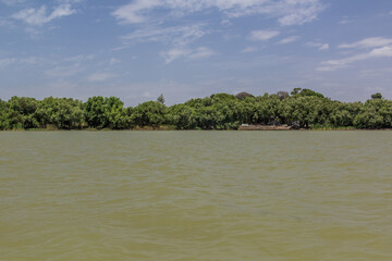 Coast of Tana lake, Ethiopia