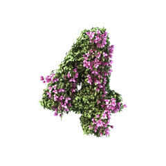 3d rendering of Bougainvillea number set 2
