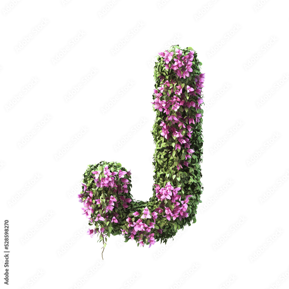 Wall mural 3d rendering of bougainvillea alphabet set 2