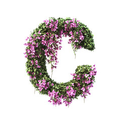 3d rendering of Bougainvillea alphabet set 2	
