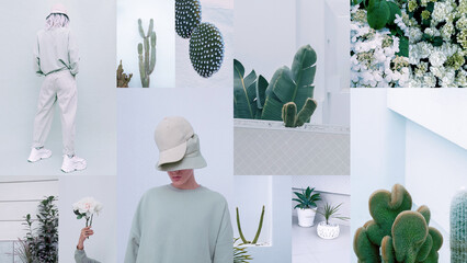 Set of trendy aesthetic photo collages. Minimalistic stylish images. Green, eco life, fashion moodboard