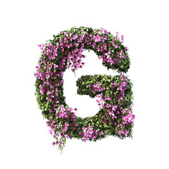 3d rendering of Bougainvillea alphabet set 2	

