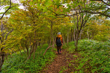 Obraz premium 秋の紅葉をハイキングする女性