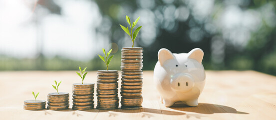 business finance and saving money investment , Money coin stack growing graph with piggy bank...