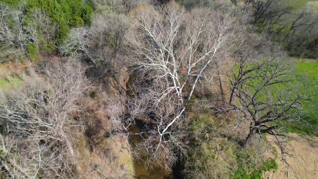 Aerial footage of Post Oak Creek in Sherman Texas. Slow flight with trees covering creek.