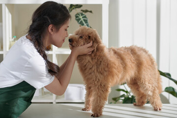 Groomer Kissing Small Dog