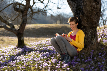 Mid Adult Woman Studying under an Apple Tree in Springtime Meadow full of Saffrons