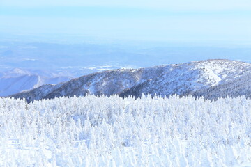 Winter, Snow, Prairie